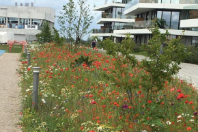 Bo med stil og udsigt til Aarhus lystbådehavn, Aarhus